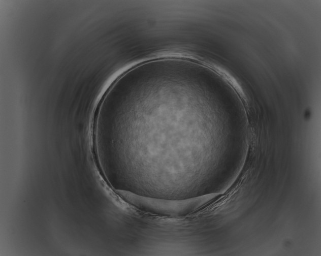 X0000095681148200801151120