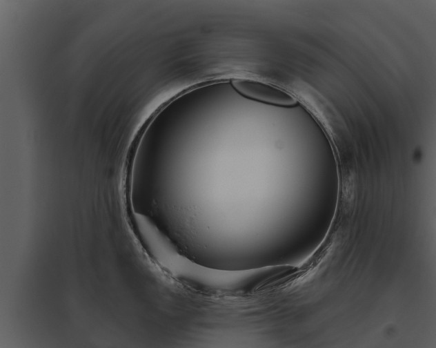 X0000095681149200801151120
