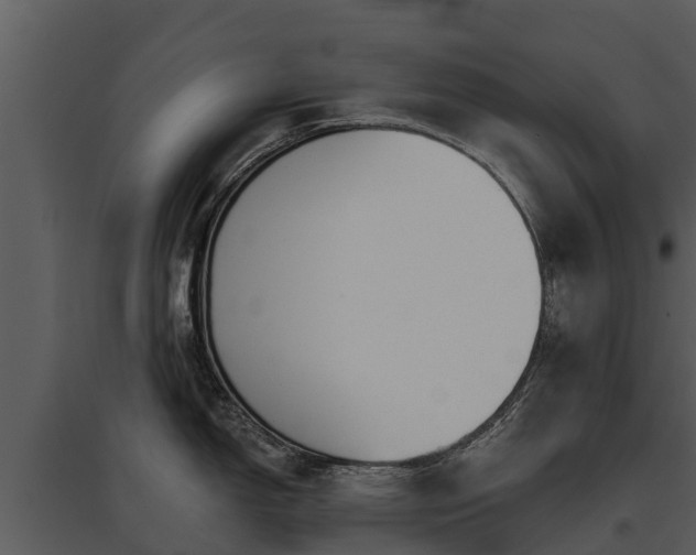 X0000095681150200801151120