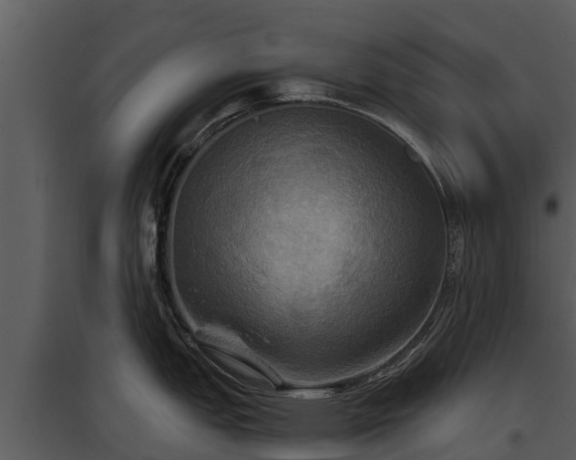 X0000095681151200801151120