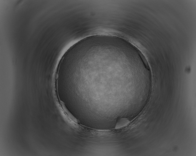 X0000095681152200801151120