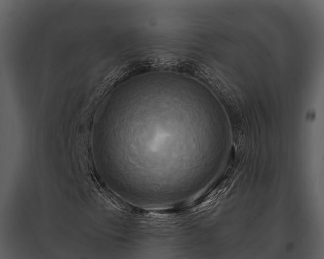 X0000095681153200801151119