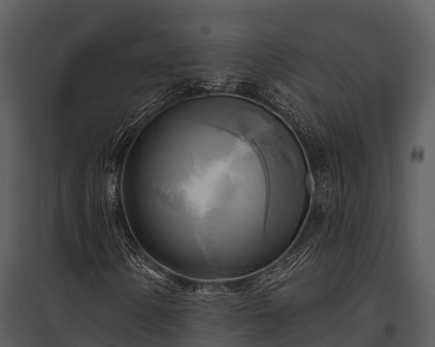X0000095681154200801151119