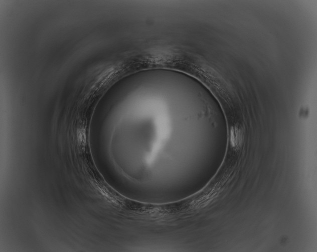 X0000095681155200801151119