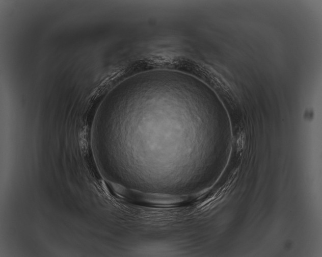 X0000095681156200801151119
