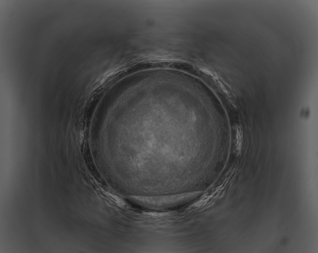 X0000095681157200801151119
