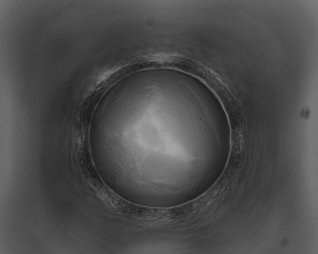 X0000095681158200801151119