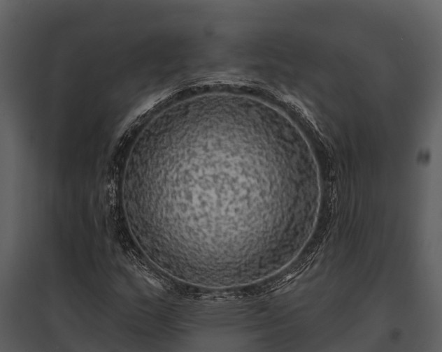 X0000095681159200801151119