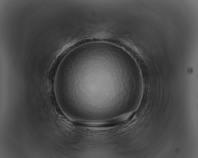 X0000095681160200801151119