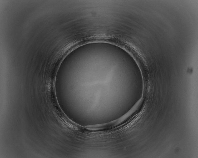 X0000095681161200801151119