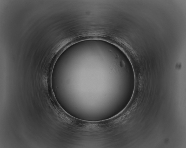 X0000095681162200801151119