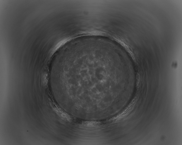X0000095681163200801151119