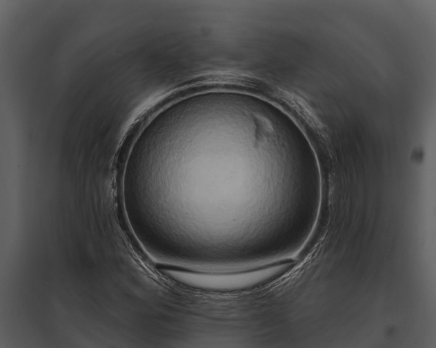 X0000095681164200801151119
