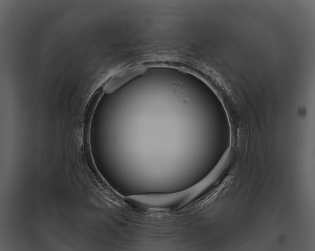 X0000095681165200801151119