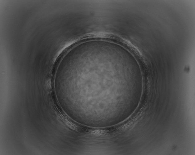 X0000095681166200801151119