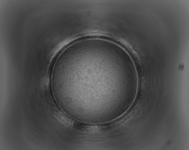 X0000095681167200801151119
