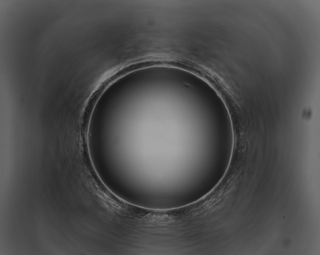 X0000095681168200801151119