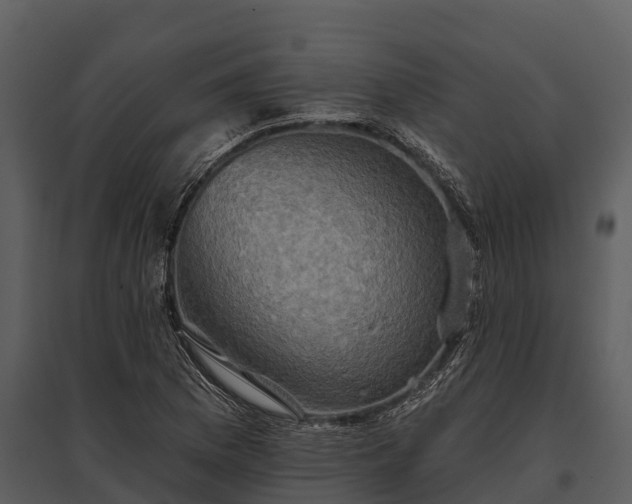 X0000095681169200801151119