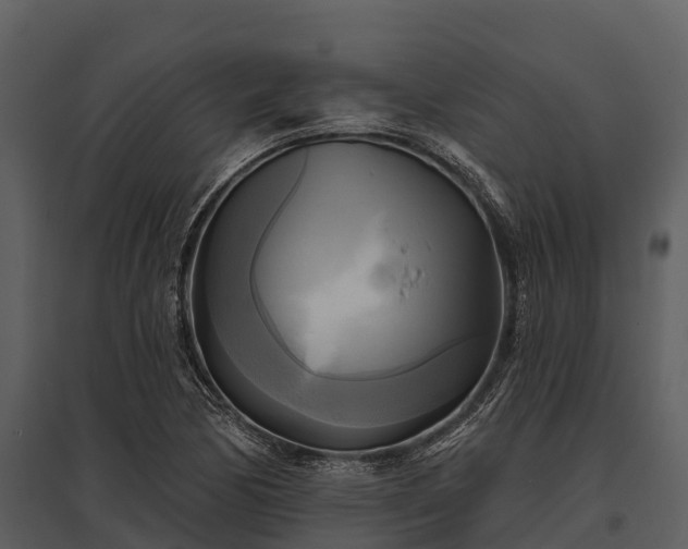 X0000095681170200801151119