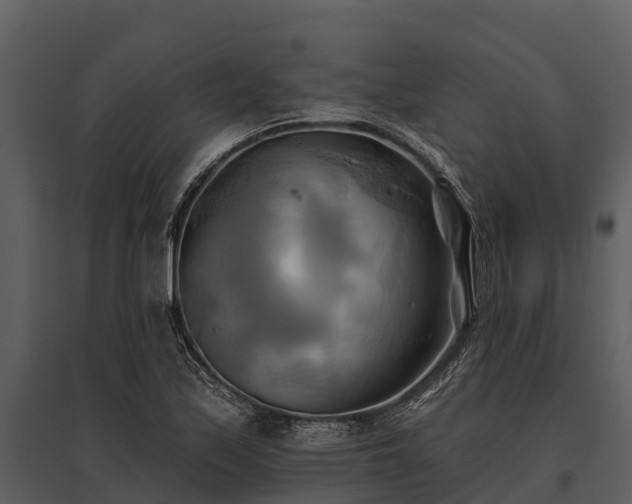 X0000095681171200801151119