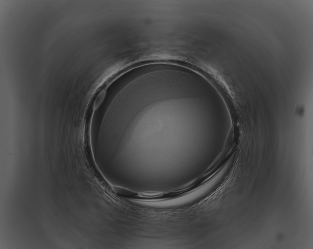 X0000095681173200801151119