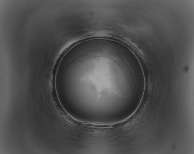 X0000095681174200801151119