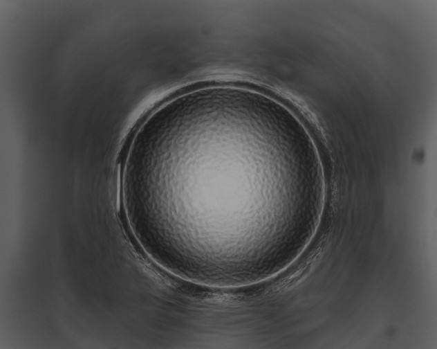 X0000095681175200801151119