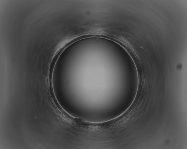 X0000095681176200801151119