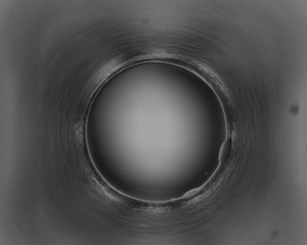 X0000095681177200801151119