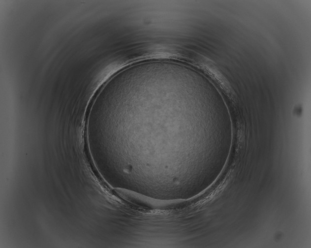 X0000095681178200801151119