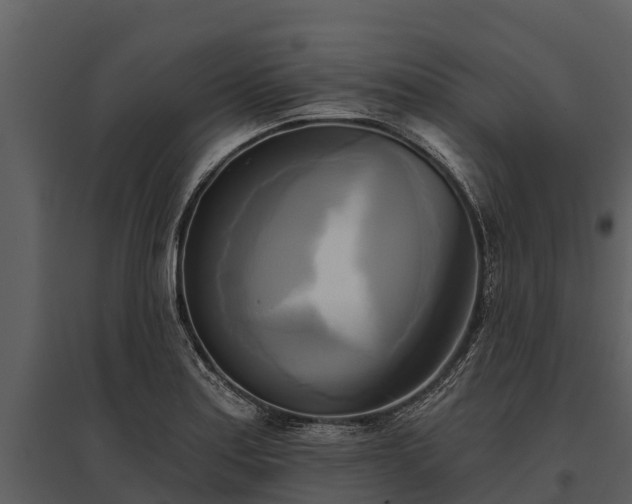 X0000095681179200801151119