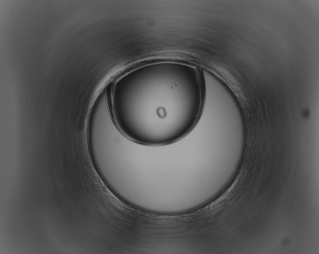 X0000095681180200801151119