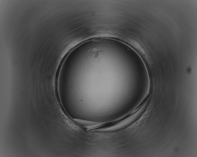 X0000095681181200801151119