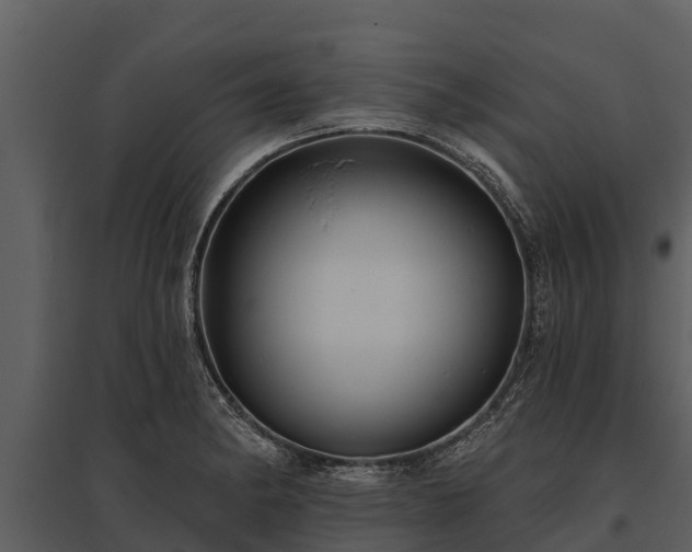 X0000095681182200801151119