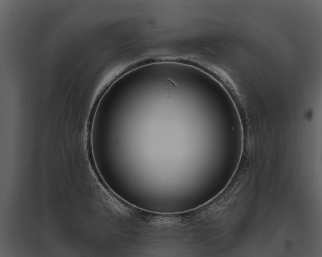 X0000095681183200801151119