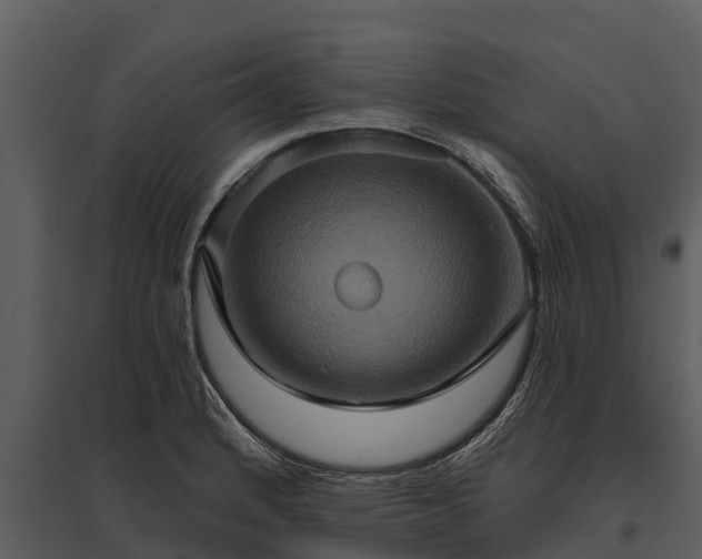 X0000095681184200801151119