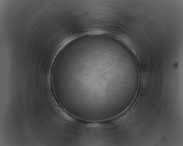 X0000095681186200801151119