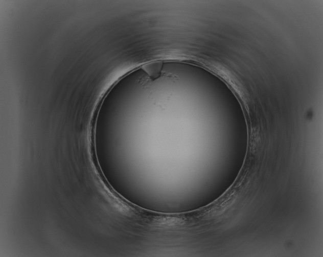 X0000095681187200801151119
