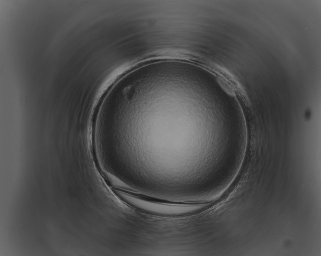 X0000095681188200801151119