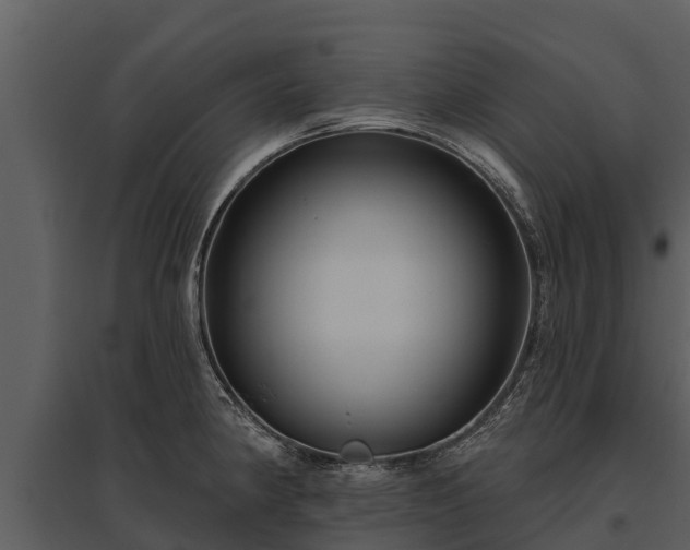 X0000095681190200801151119