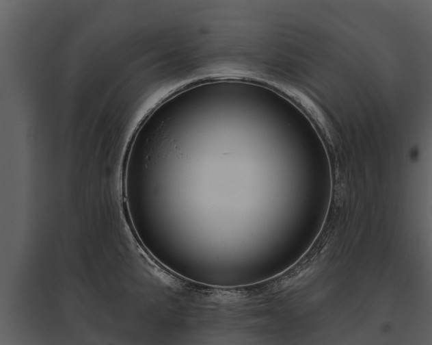 X0000095681191200801151119
