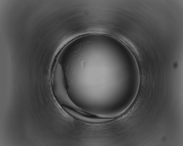 X0000095681192200801151119
