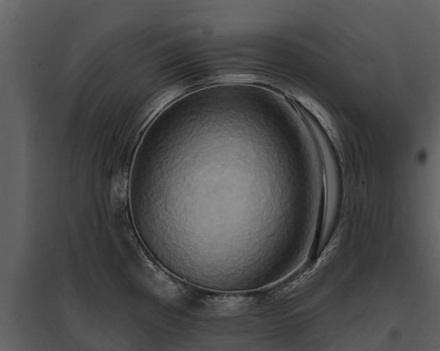 X0000095681193200801151119