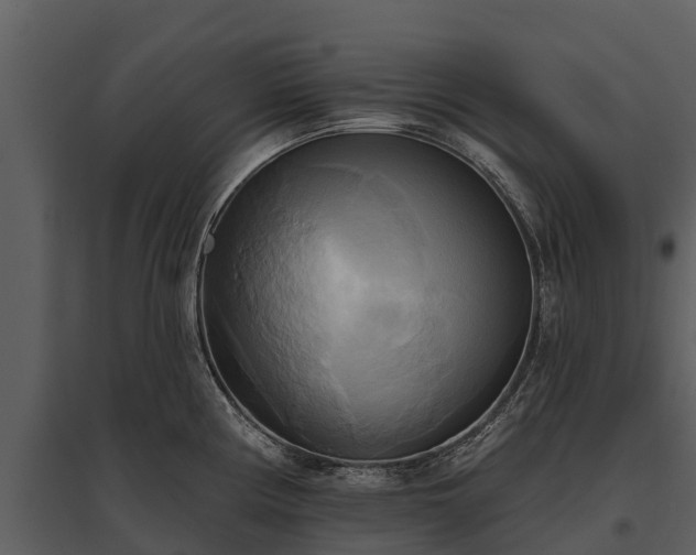 X0000095681194200801151119