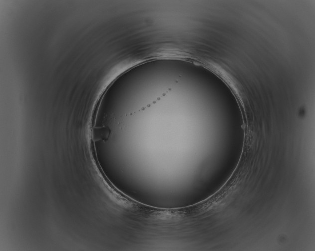 X0000095681195200801151119