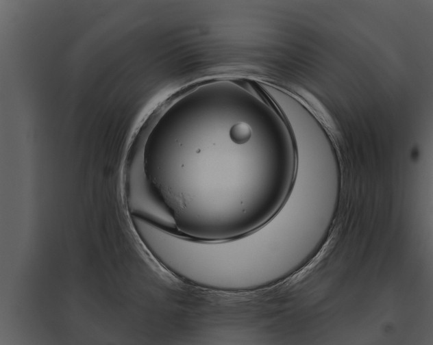 X0000095681196200801151119