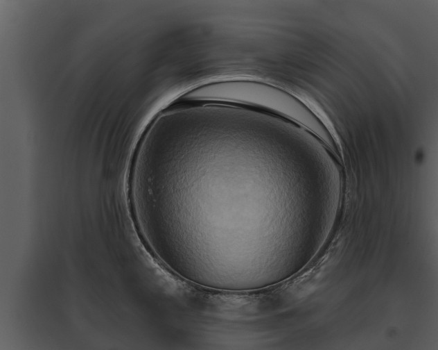 X0000095681197200801151119