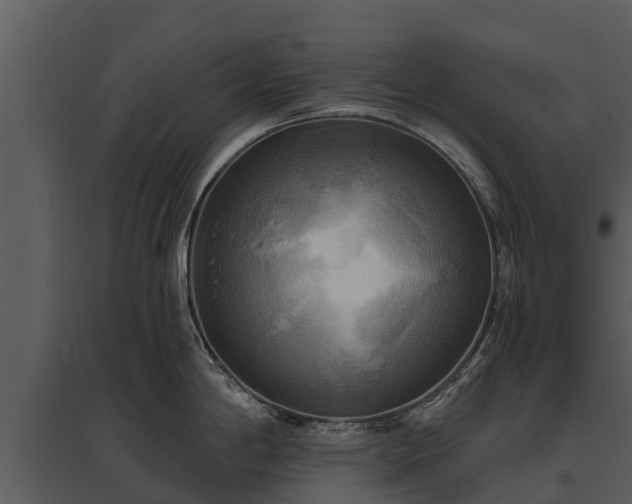 X0000095681198200801151119