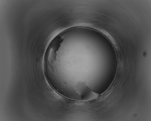 X0000095681199200801151119