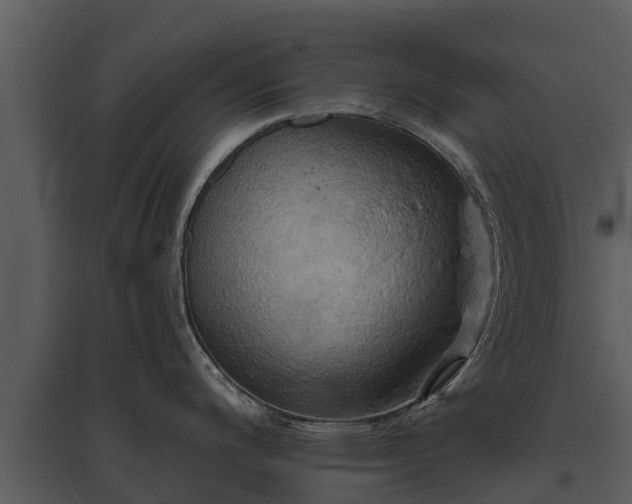 X0000095681200200801151119